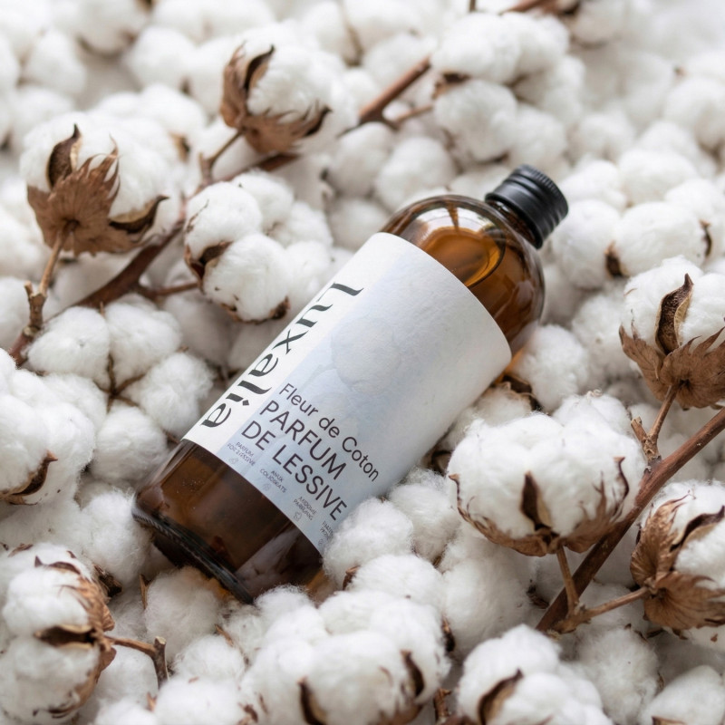 Parfum de lessive fleur de coton | Luxalia