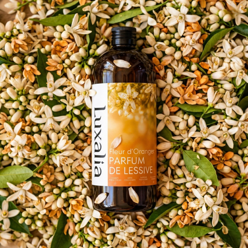 Parfum de lessive Fleur d'Oranger | Luxalia