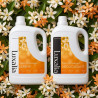 Duo Fleur d'Oranger