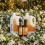 Pack soin du linge musc blanc (white musk) | Luxalia