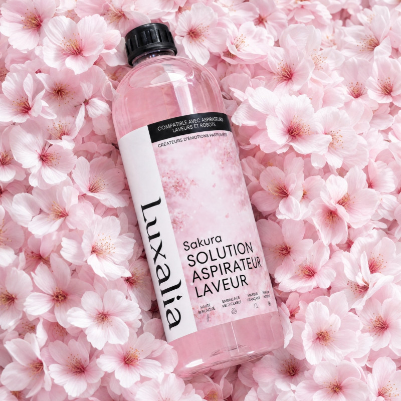 Solution Aspirateur Laveur Sakura