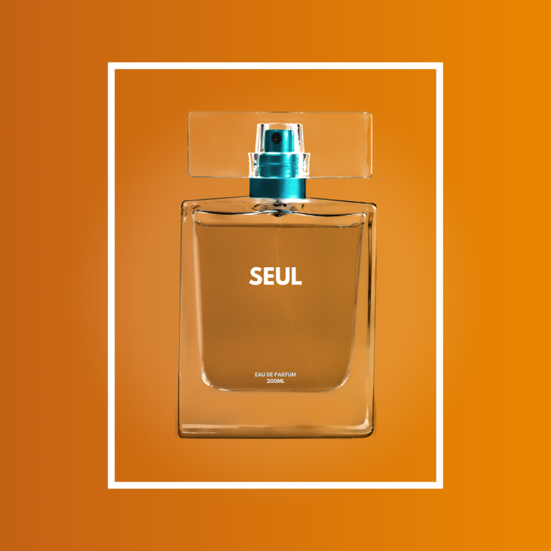 Parfum Seul - Homme - 100ml