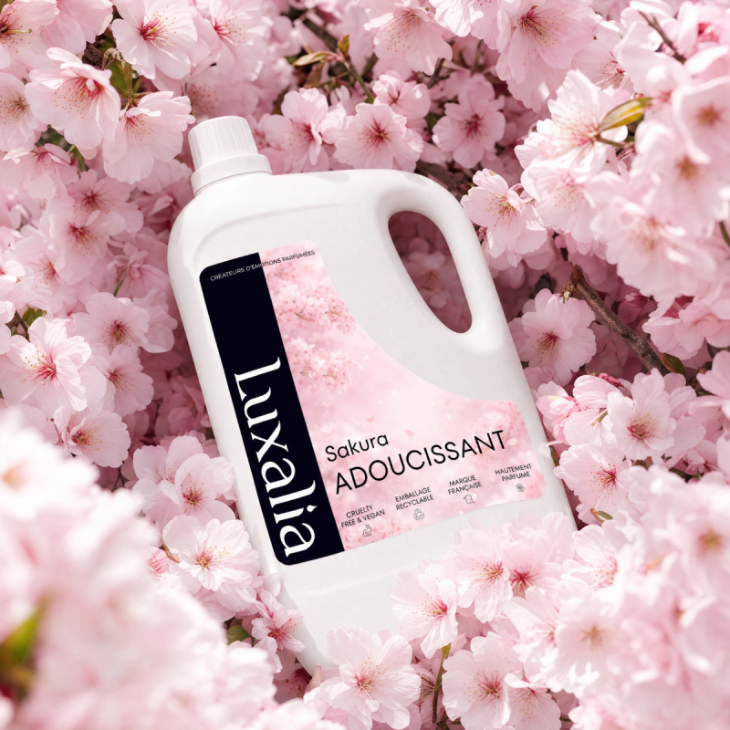 Adoucissant Sakura Parfumée | Luxalia