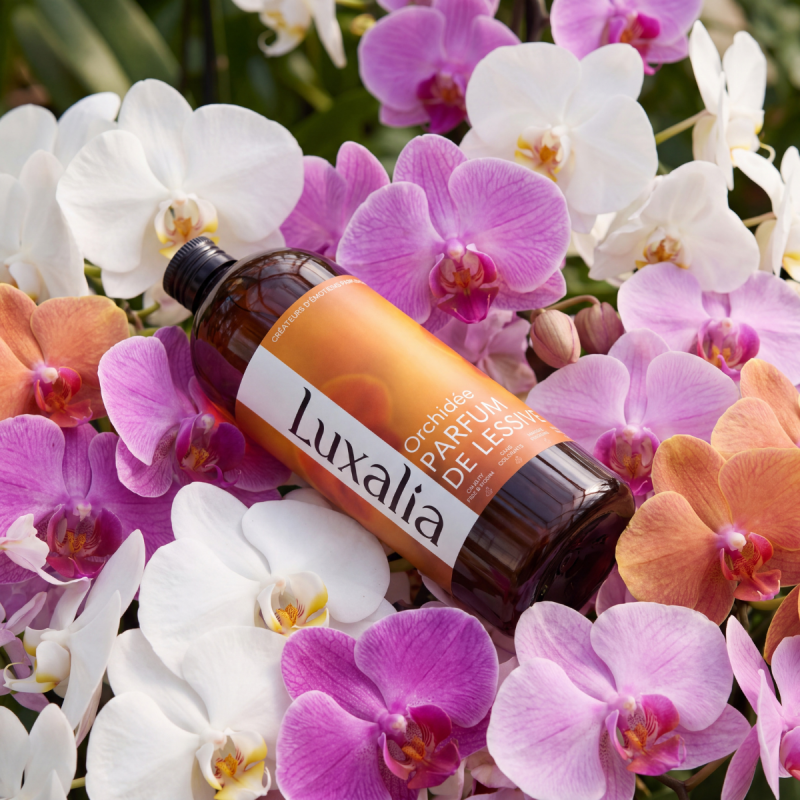 Parfum de lessive orchidée | Luxalia