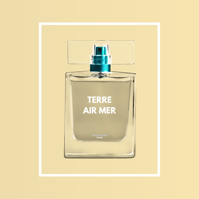 Parfum Terre Air Mer - Homme - 100ml