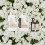 Pack Fleurs Blanches - Luxalia