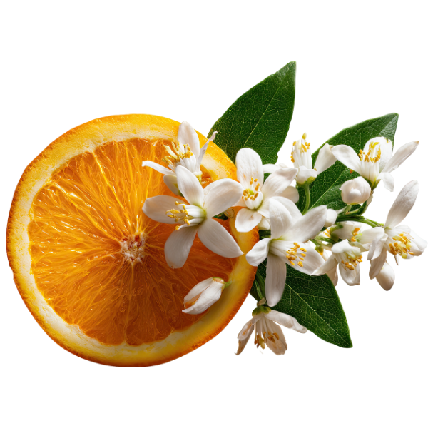 Fleur d'Oranger