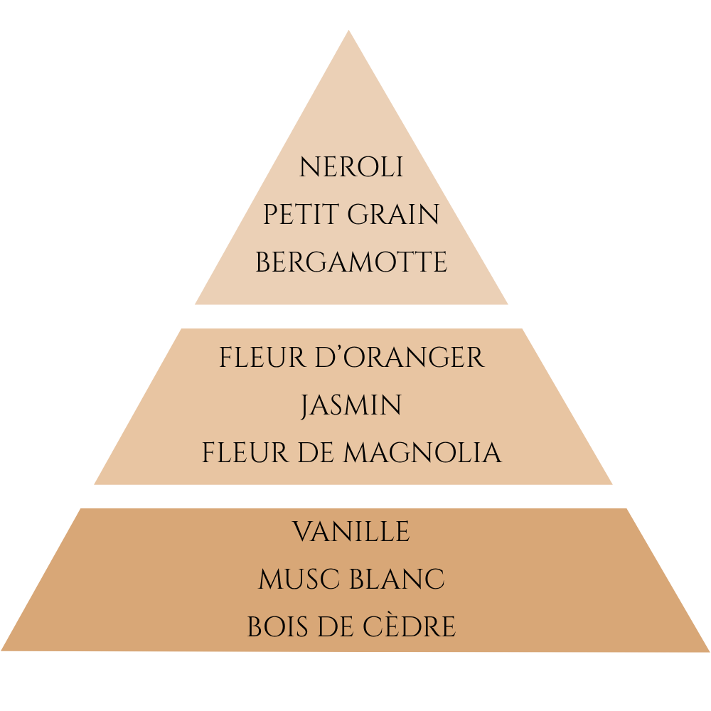 Pyramide olfactive de la collection fleur d'oranger