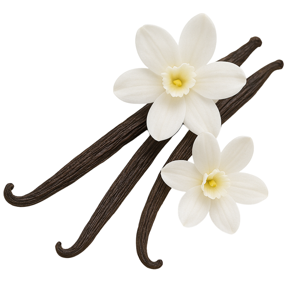 environnement évoquant le musc blanc