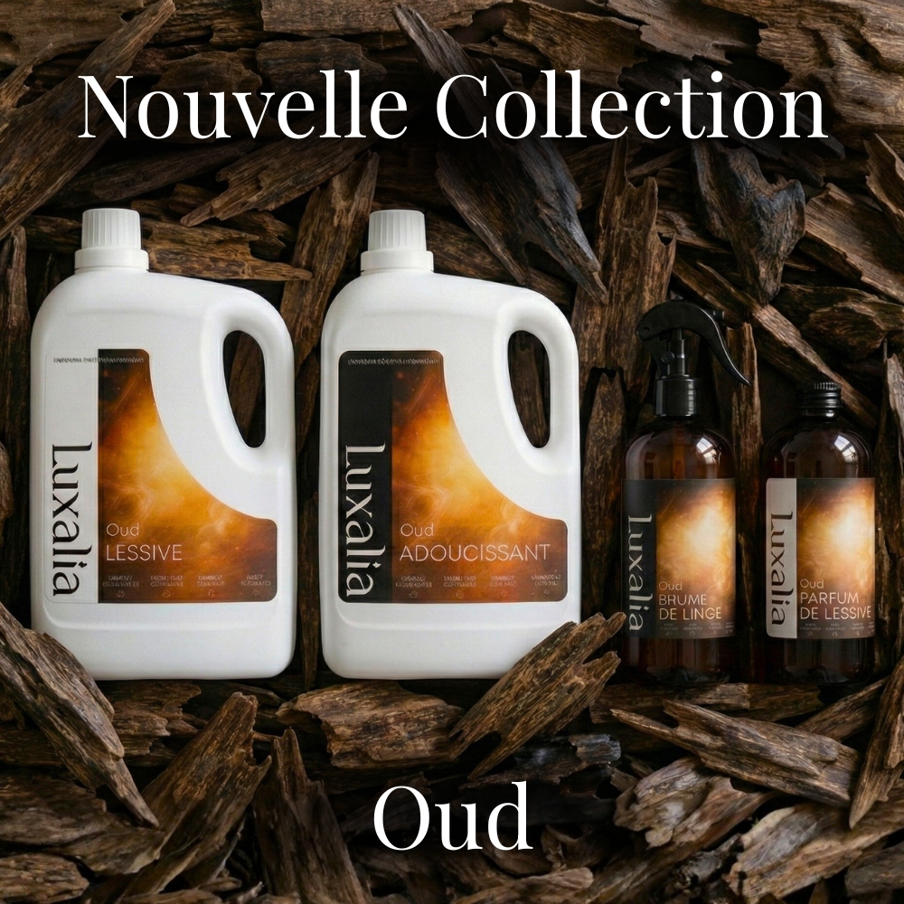 Nouvelle collection vanille musquée