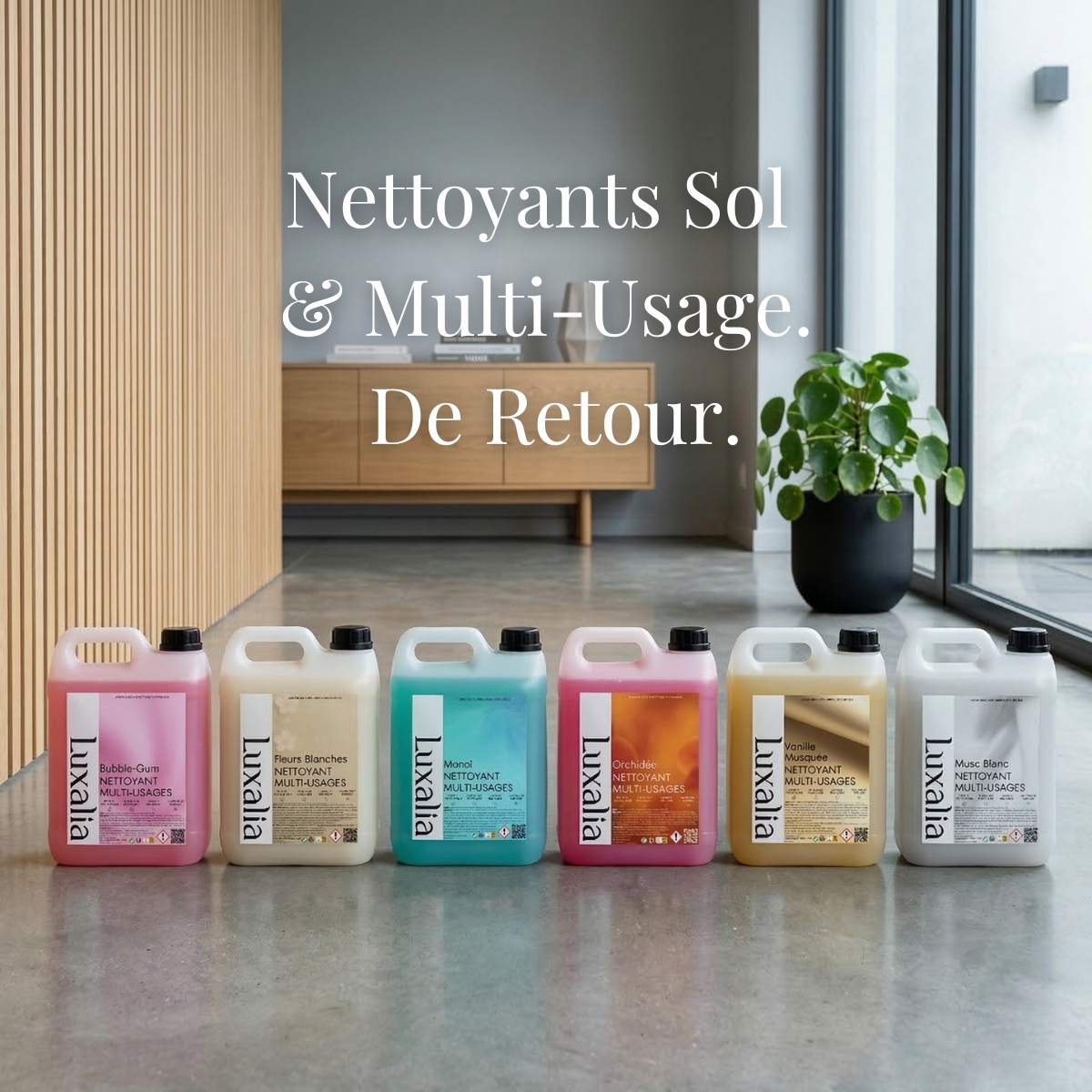Nettoyant Sol De Retour