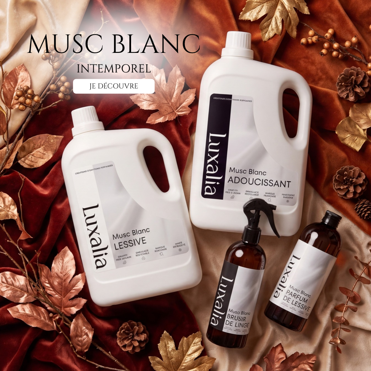 Musc Blanc : Intemporel