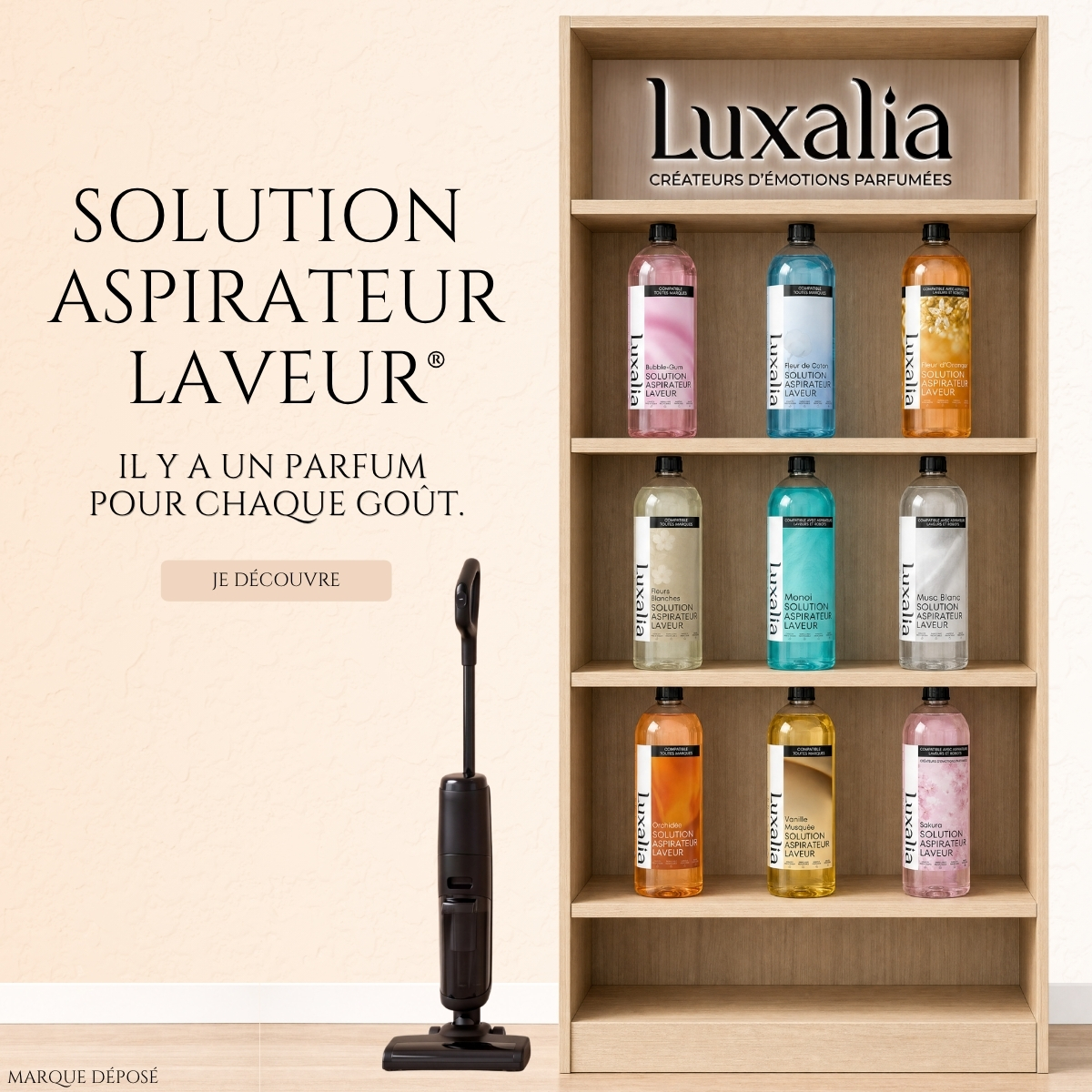 Solution Aspirateur Laveur