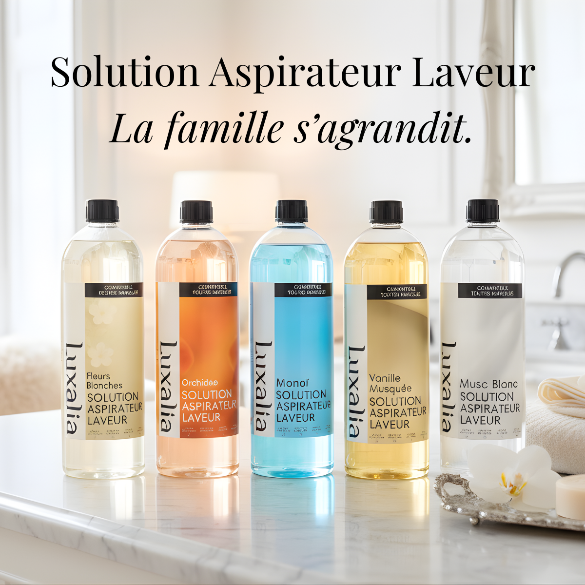 Nouvelle collection vanille musquée